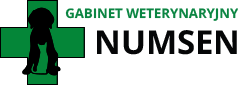 Numsen Logo